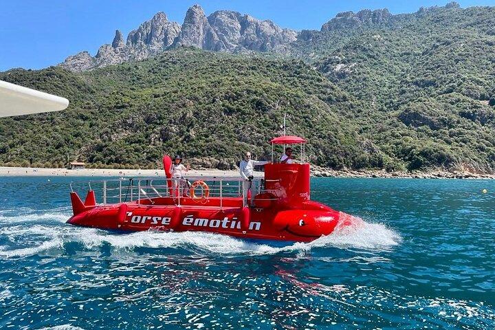 Semi sous-marin : visite des fonds marins de la baie de Porto