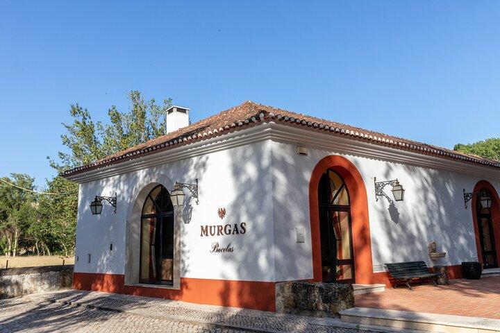 Wine tasting at Quinta das Murgas