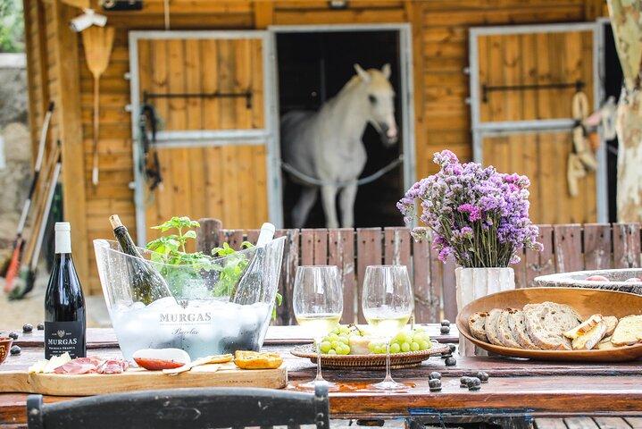 Wine tasting at Quinta das Murgas