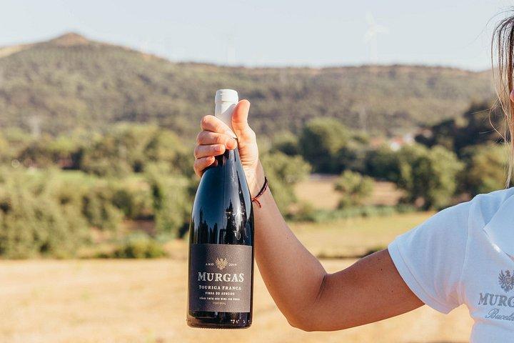 Weinprobe in der Quinta das Murgas