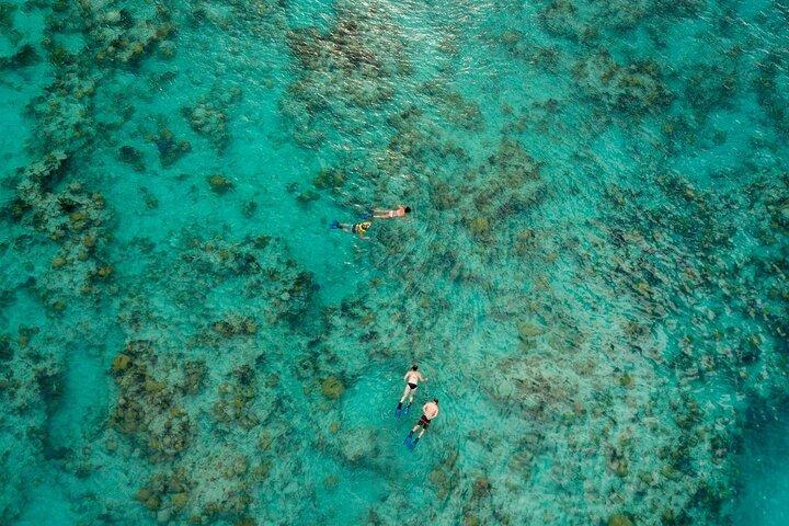 Two Stop Snorkel and Shipwreck from Dockyard
