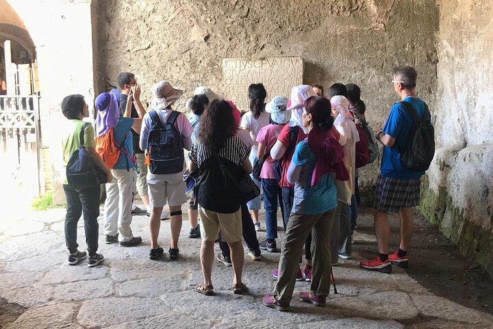 Visita a Pompeya con guía experto autorizado