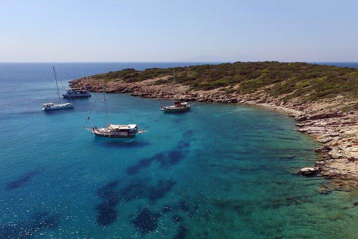 Excursión en barco de un día a Bodrum con almuerzo