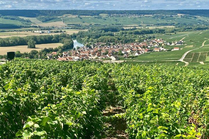 Moet et Chandon Pommery Pressoria Champagne Privat resa