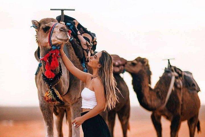 Marrakech: Quad Bike and Camel Ride and Dinner & Sunset, Fireshow