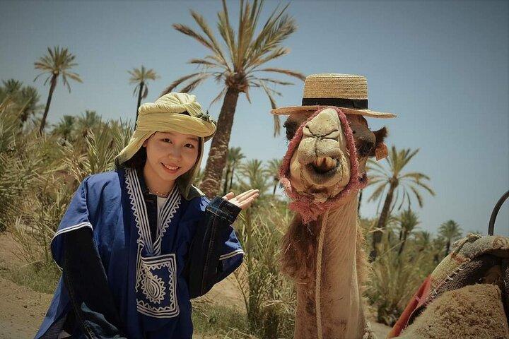 Marrakech : 2 timmars fyrhjuling och kamel rida erfarenhet med te