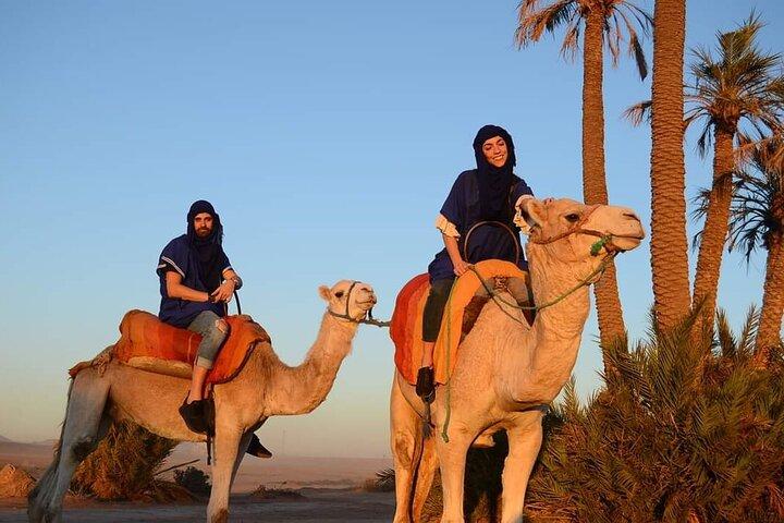 Marrakech : 2 timmars fyrhjuling och kamel rida erfarenhet med te