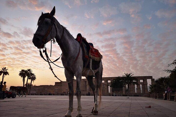 Full-Day Trip naar Luxor per vliegtuig vanuit Cairo