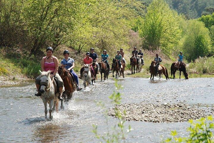 Expérience D'Équitation à Bodrum