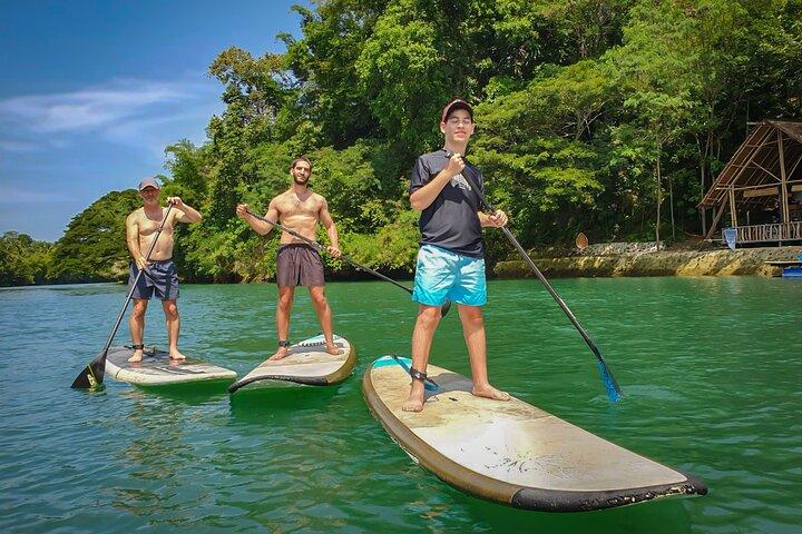 Excursão rural em Bohol: Chocolate Hills, Tarsier e Loboc River