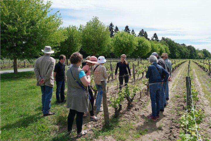 Loire Valley Wines privat dagstur med smagninger fra Tours eller Amboise