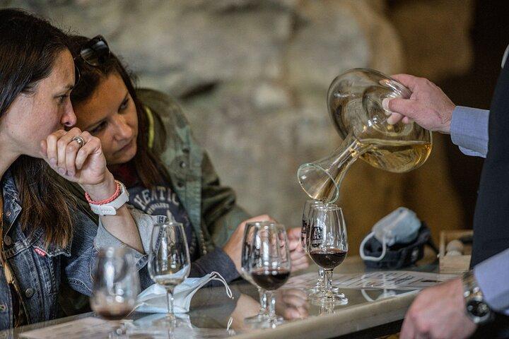 ツアーまたはアンボワーズからの試飲付きのロワール渓谷ワインのプライベートデイツアー