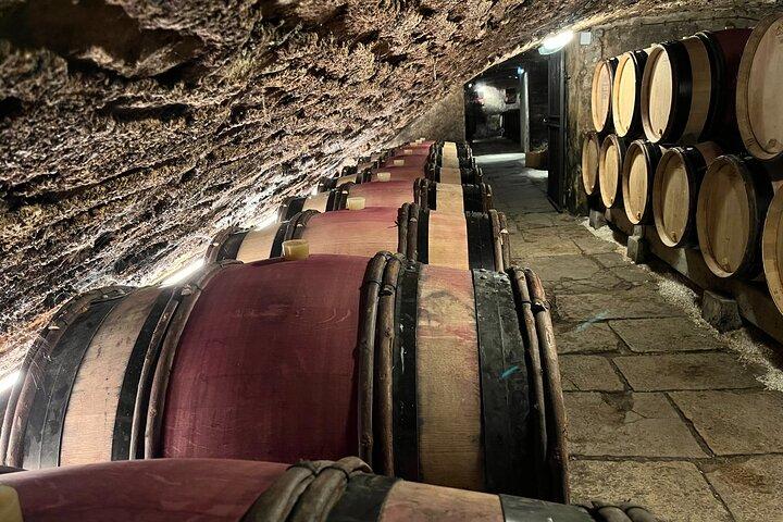 Bourgogne Grand Crus Route dagstur - 14 vinsmagninger i domæner