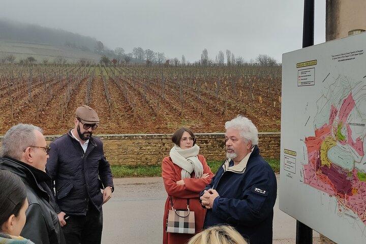 Bourgogne Grand Crus Route dagstur - 14 vinsmagninger i domæner
