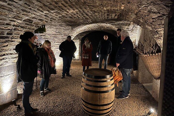 Bourgogne Grand Crus Route dagstur - 14 vinsmagninger i domæner