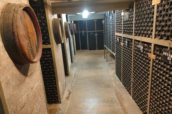 Bourgogne Grand Crus Route dagstur - 14 vinsmagninger i domæner