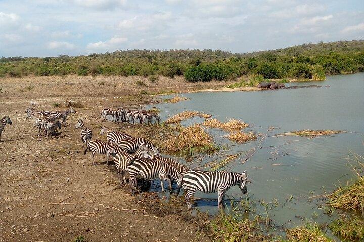 ナイバシャ湖とナクル湖一泊ツアー