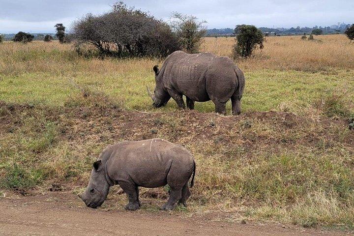 ナイバシャ湖とナクル湖一泊ツアー