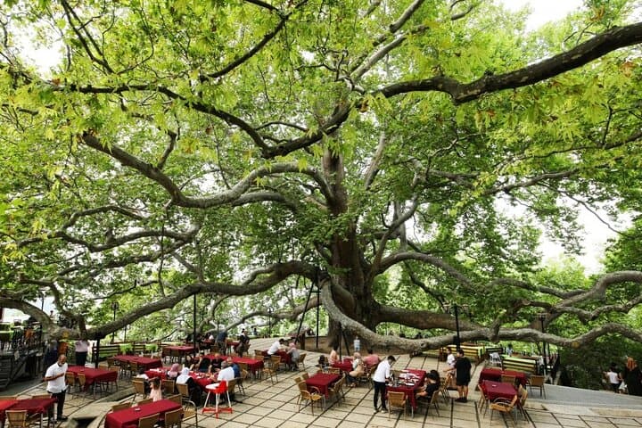 Full Day Guided Tour to Bursa with Lunch and Cable Car