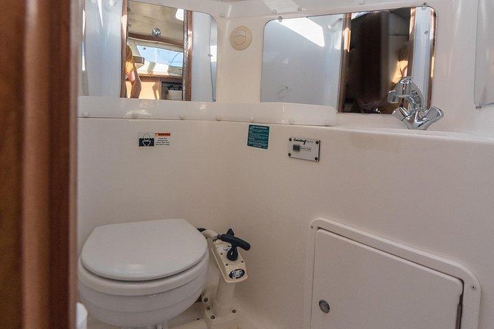 Noleggio Yacht di Lusso Privato, BYOB & Dolphins