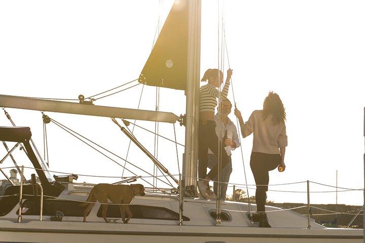 Noleggio Yacht di Lusso Privato, BYOB & Dolphins