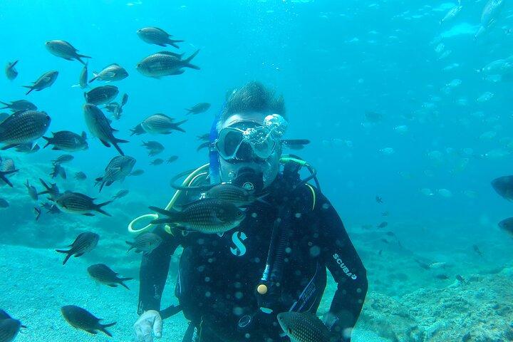 Scuba Diving Cyprus Experience Protaras and Ayia Napa & Turtles