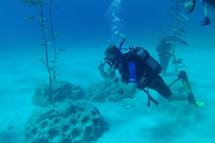 Scuba Diving Cyprus Experience Protaras and Ayia Napa & Turtles