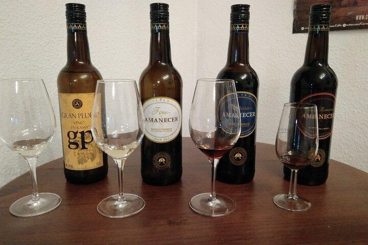Disfrute de Córdoba: cata de vinos y tapas locales
