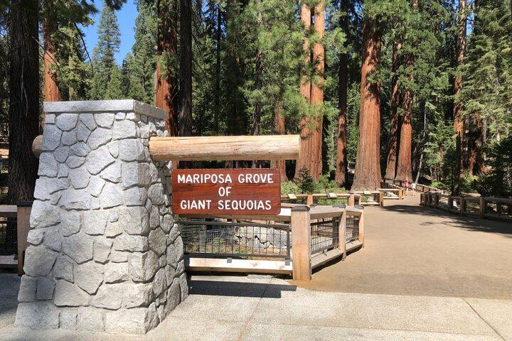 Visite en petit groupe des points forts de Yosemite