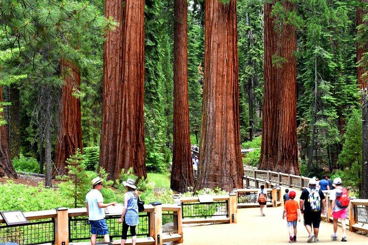 Visite en petit groupe des points forts de Yosemite