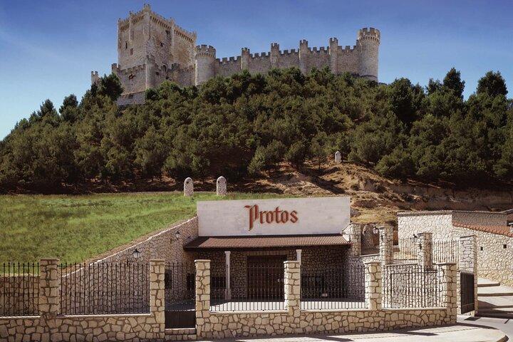Tour Premium à Ribera del Duero com Guia Tecnólogo