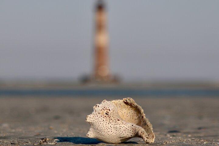 Charleston Eco Boat Cruise med stopp vid Morris Island Lighthouse