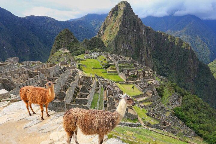 Visite privée d'une journée au Machu Picchu