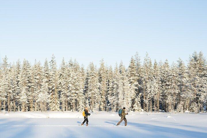 Ski Trek to the Wilderness - Extra Small group