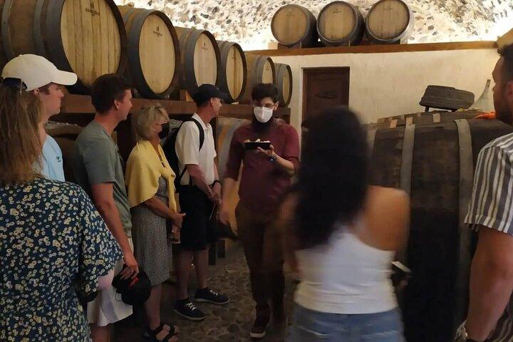 Santorini: tour privado imperdível e visita à vinícola