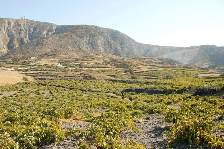 Santorini: tour privado imperdível e visita à vinícola