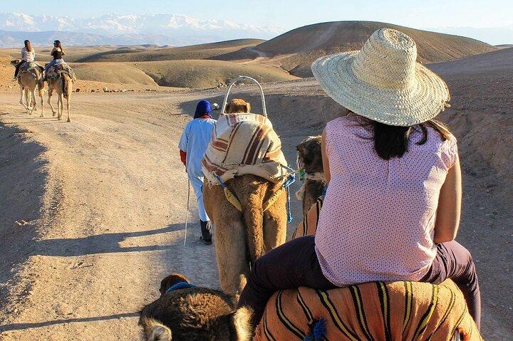 (inklusive afhentning) Camel Rides, Quad Bikes og diner i Agafay