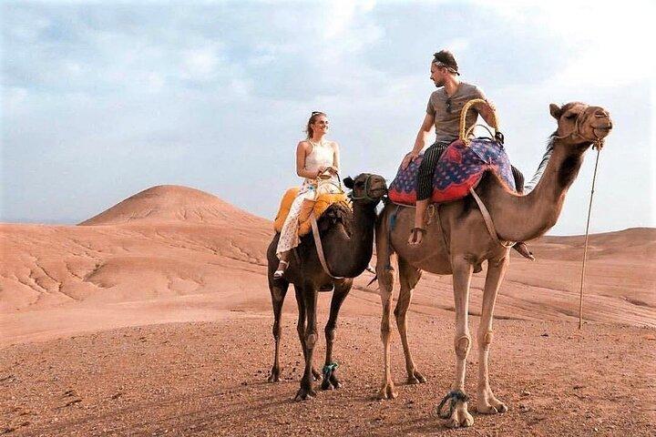 (incluso pick-up) Camel Rides, Quad Bikes e cena ad Agafay