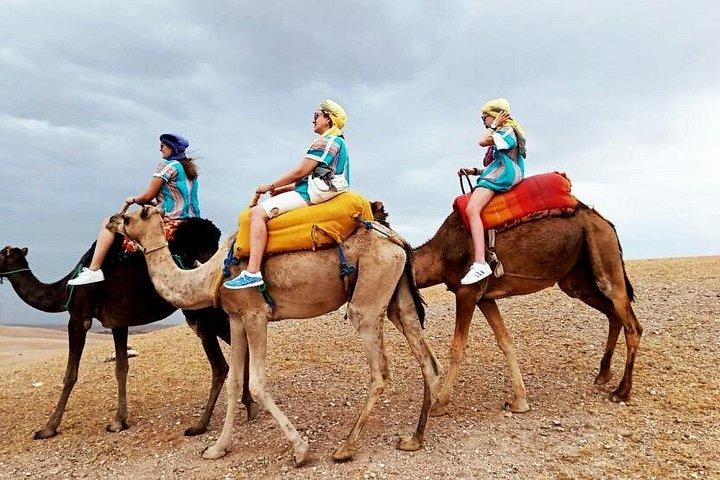 アガファイでのランチとラクダ乗り体験付きのマジョレル庭園