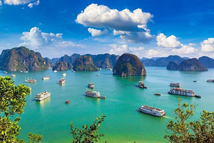 Excursión en tierra : Increíble crucero de un día en la bahía de Ha Long