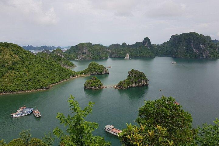 Kustexcursie Halong Bay: cruisetocht van een hele dag vanuit de cruisehaven