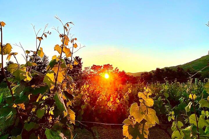 Degustação privada de vinhos sob as estrelas com panorama do pôr do sol
