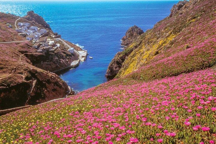 Berlengas Island Private Day Trip from Lisbon