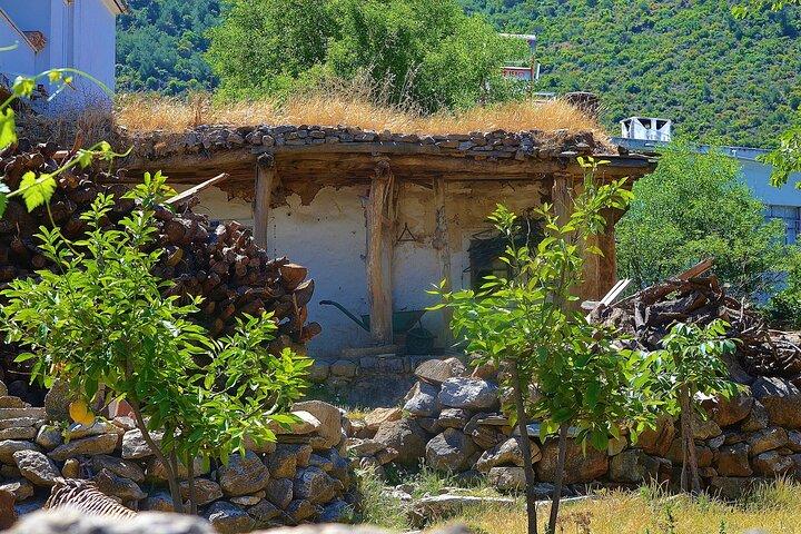 Visite du village de Bodrum avec groupe