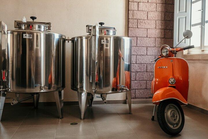 ボトル入りサントリーニ島: クラフト ビール、ワイン、ウーゾのテイスティング