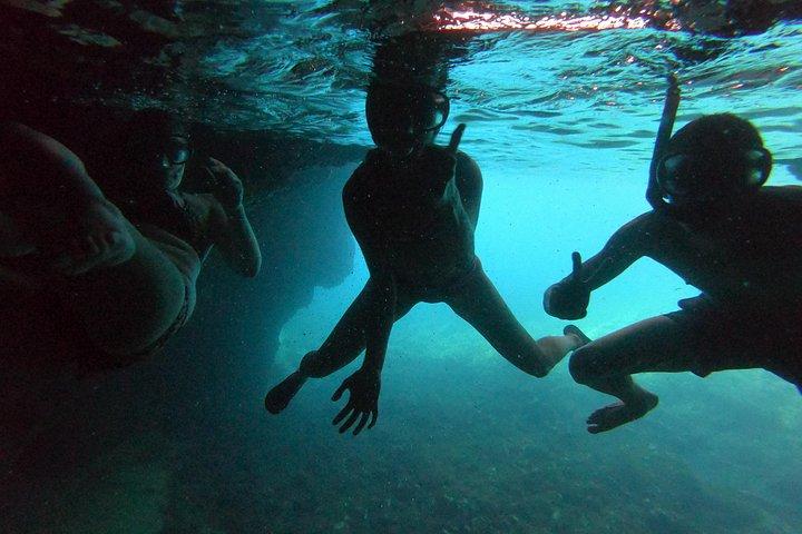 隠れ宝石オデッセイ：プライベートエラフィティ諸島＆青の洞窟ツアー