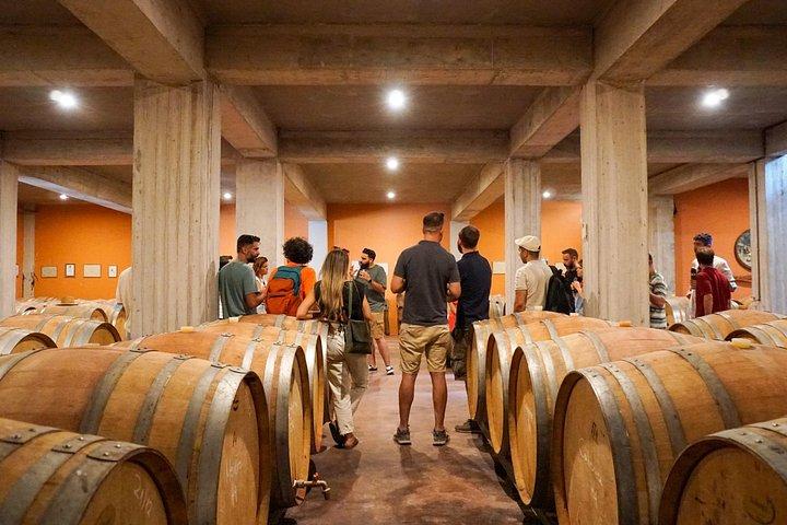 Athens to Nemea Wine Experience Tour