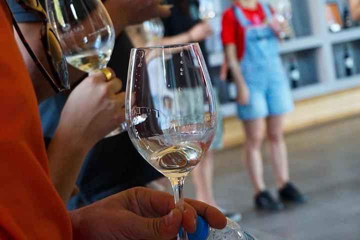 Athens to Nemea Wine Experience Tour