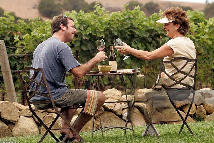 Visite des vignobles tout compris en petit groupe à Solvang Santa Ynez Valley
