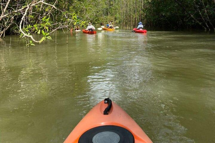 Excursion en kayak dans les mangroves à Manuel Antonio